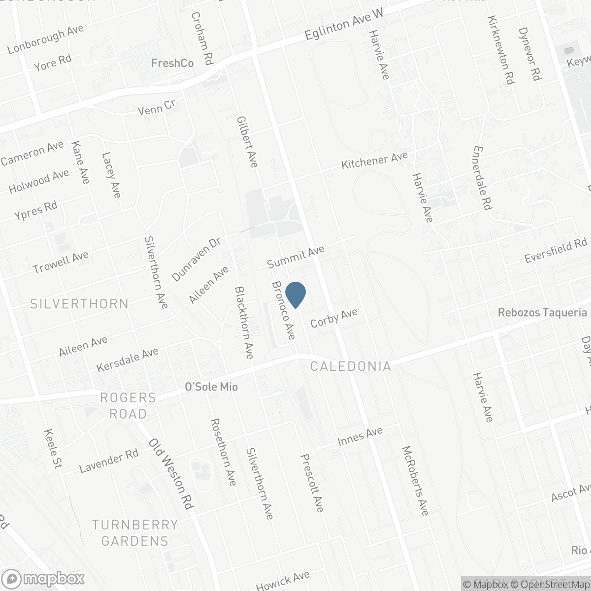 297 GILBERT AVENUE, Toronto, Ontario M6E 4W8